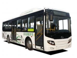 Wuzhoulong WZL6100NG4 '2010